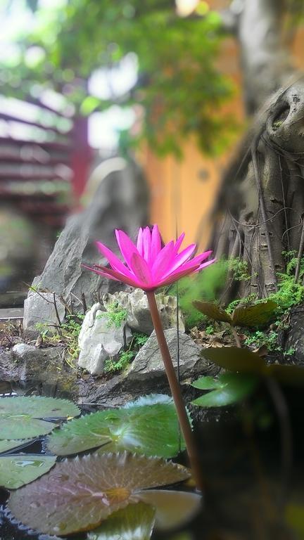 Tam Coc Green Homestay Ninh Binh Exterior foto